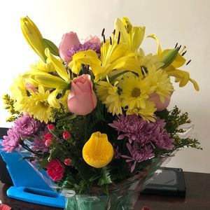 Meet your Posher, Elsa